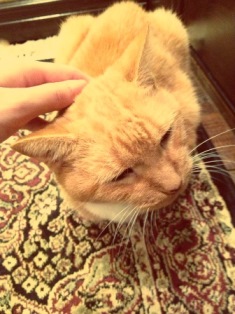 ルルちゃん - コピー